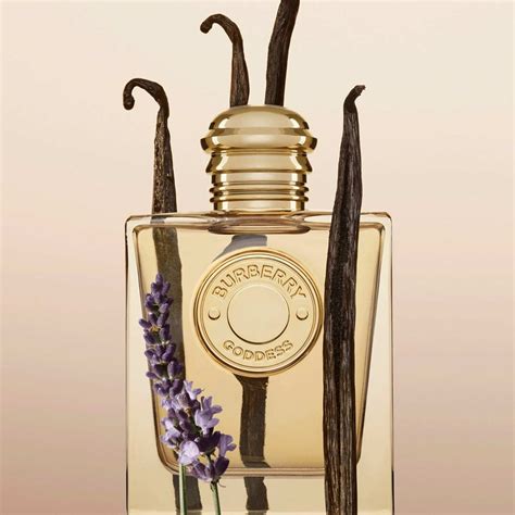 profumo burberry female|burberry goddess sephora vanilla.